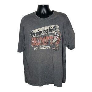 Disneyland Grumpy Distressed T-shirt